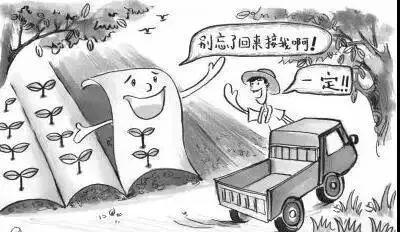 農(nóng)膜回收正當(dāng)時 抓住補貼窗口，變身綠色鄉(xiāng)村獲利者