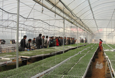 平遠鎮多舉措抓好春耕備耕，農膜先行保豐收