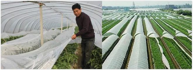 農(nóng)膜再生成本高，國家為你支支招